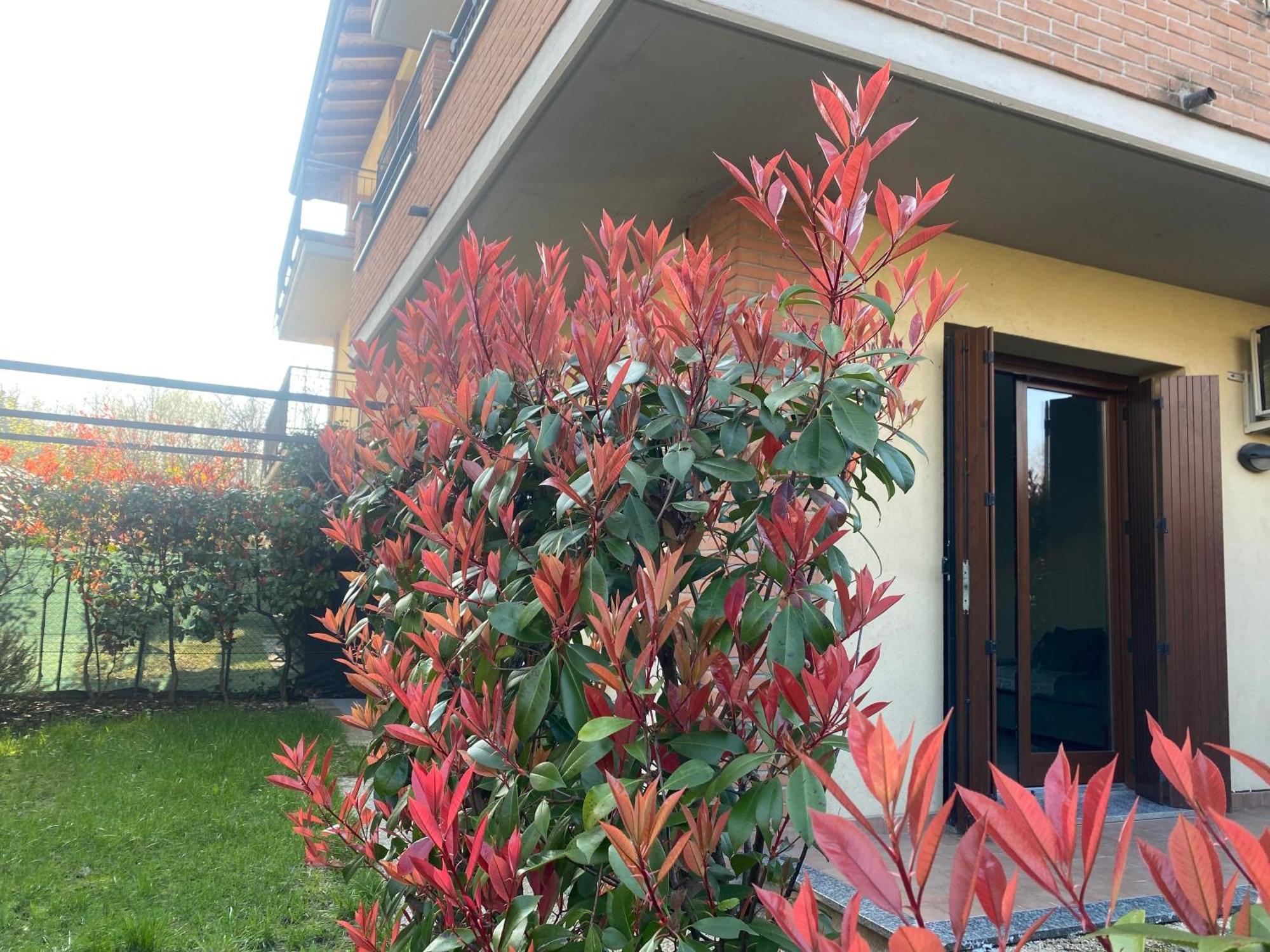 Camille Garden Home - Free Park Como Exterior foto